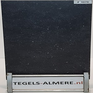 tegels-0079